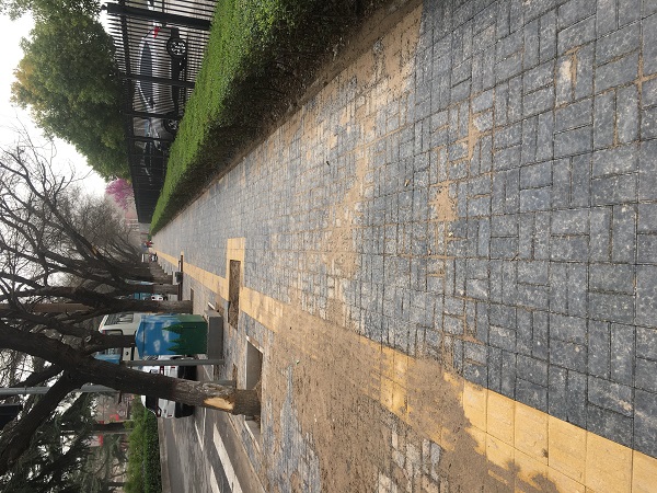 中州西路应用